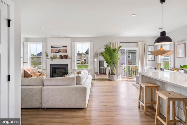 living room with plenty of natural light and light hardwood / wood-style flooring