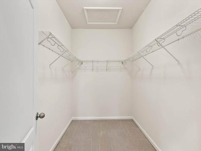 spacious closet with carpet flooring