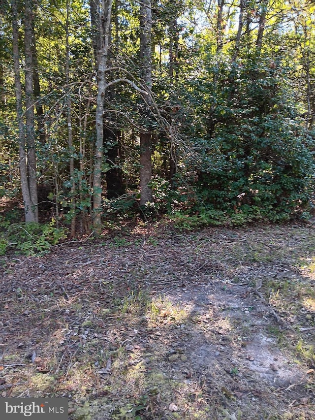 Pine St, Colonial Beach VA, 22443 land for sale