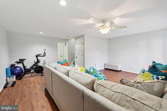 living room with ceiling fan and hardwood / wood-style floors