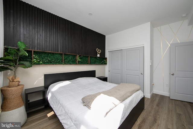 bedroom featuring a closet and wood-type flooring