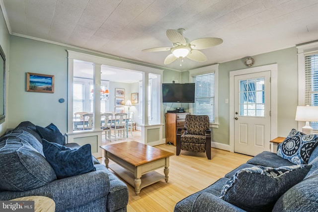 living room with ceiling fan, crown molding, a wealth of natural light, and light wood-type flooring