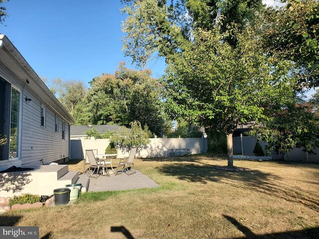 view of yard featuring a patio area