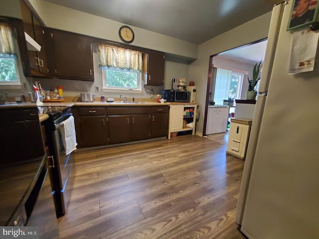 kitchen with dark brown cabinets, appliances with stainless steel finishes, sink, and light hardwood / wood-style flooring