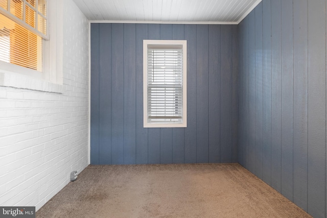 spare room featuring carpet floors, wood walls, and crown molding