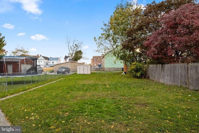 view of yard with a shed and a trampoline