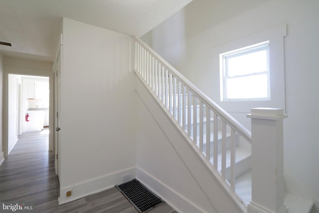 stairs with hardwood / wood-style flooring