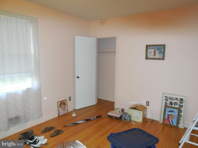 interior space featuring hardwood / wood-style flooring and a closet