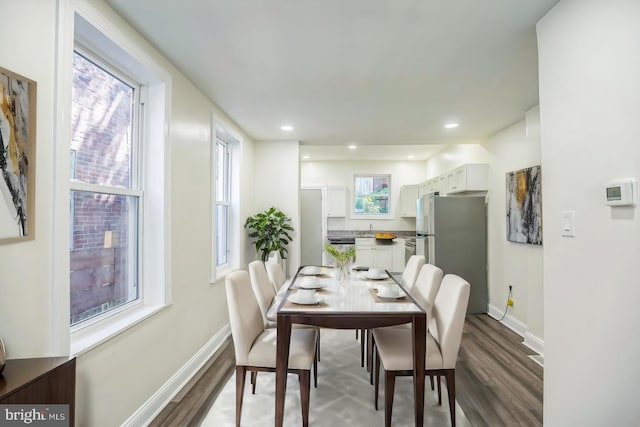 dining room featuring hardwood / wood-style flooring and plenty of natural light