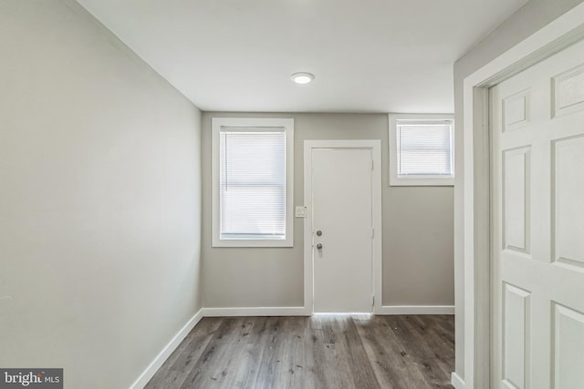 doorway featuring wood-type flooring