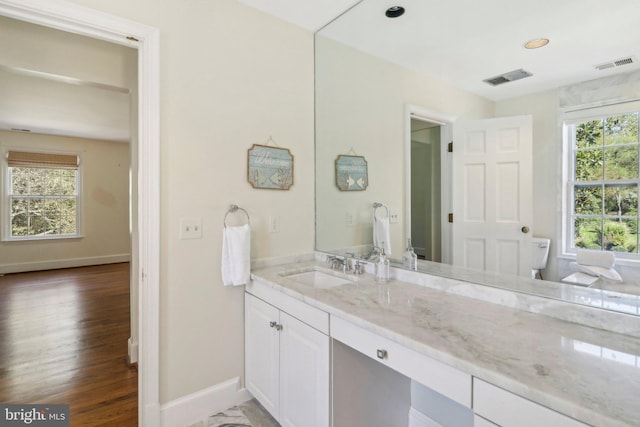 bathroom with a wealth of natural light, vanity, and wood-type flooring