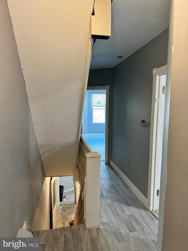 staircase featuring hardwood / wood-style flooring