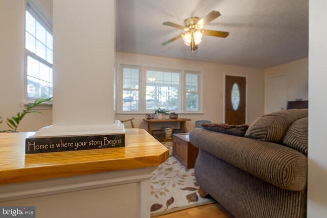 living room with ceiling fan and a wealth of natural light