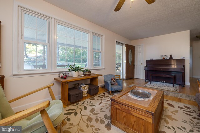 living area with ceiling fan, a wealth of natural light, light hardwood / wood-style floors, and a textured ceiling