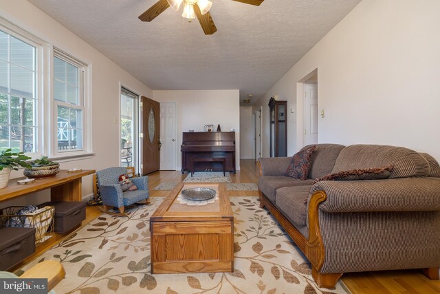 living room featuring a textured ceiling, light hardwood / wood-style floors, and a wealth of natural light