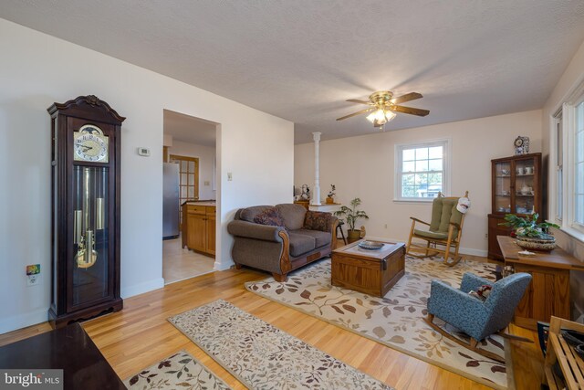 living room featuring ceiling fan, a textured ceiling, and light wood-type flooring