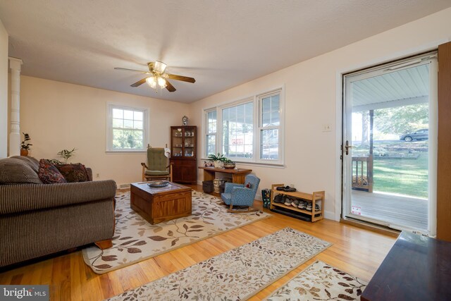 living room with ceiling fan and light wood-type flooring