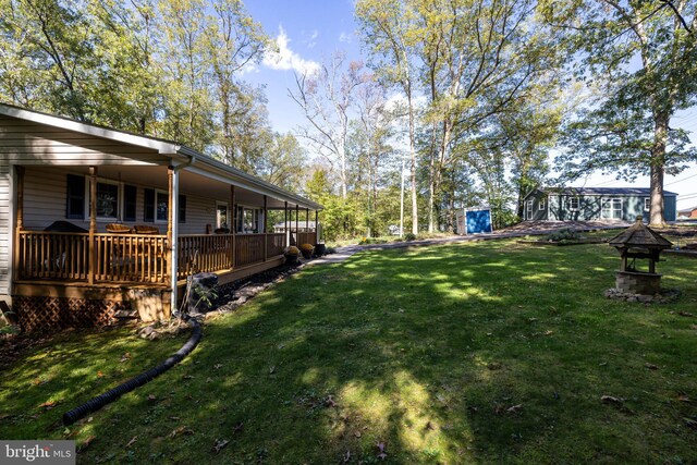 view of yard featuring a deck