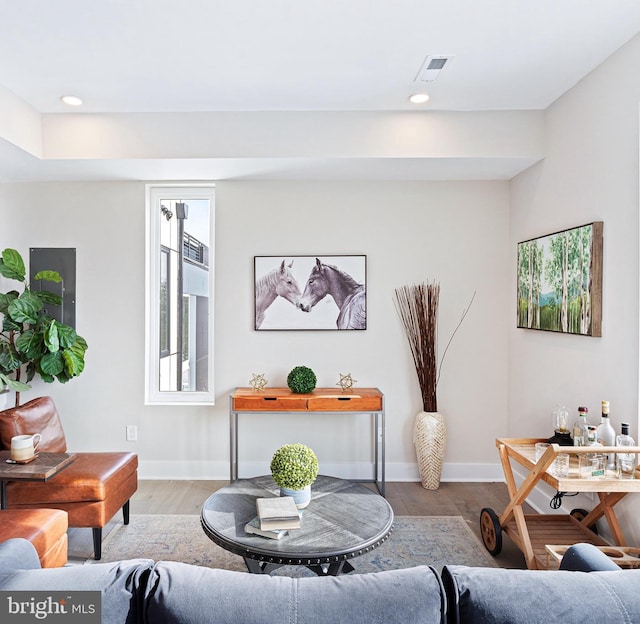 living room with wood-type flooring