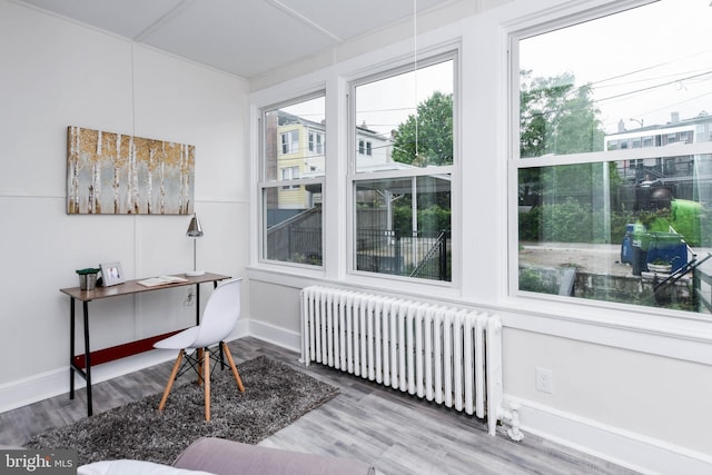 sunroom with radiator heating unit and a healthy amount of sunlight