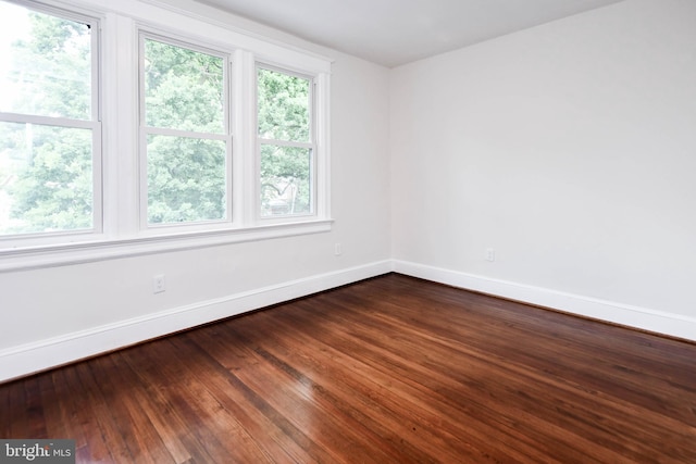 spare room with hardwood / wood-style flooring and a healthy amount of sunlight