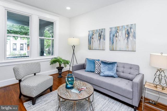 living room featuring hardwood / wood-style flooring