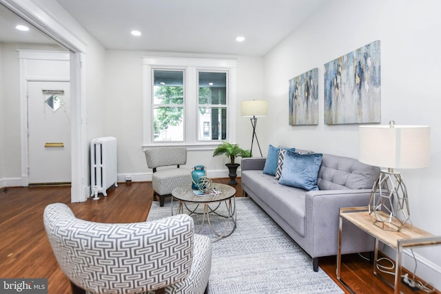 living room featuring wood-type flooring and radiator heating unit