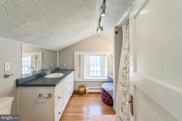 bathroom with lofted ceiling with beams, wood-type flooring, a healthy amount of sunlight, and a baseboard heating unit