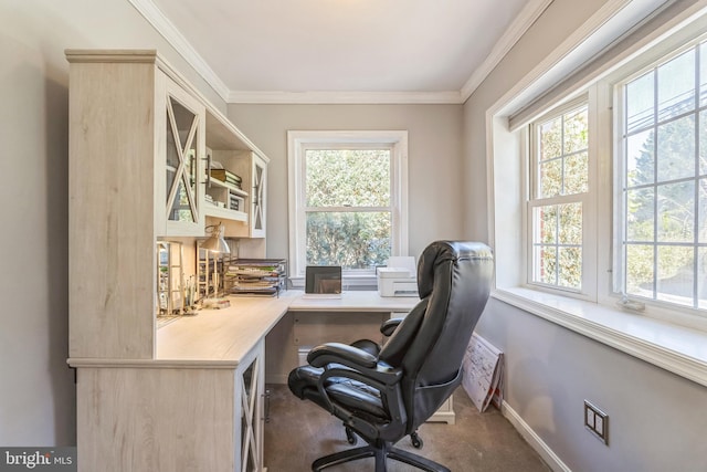 carpeted office space with a wealth of natural light and crown molding