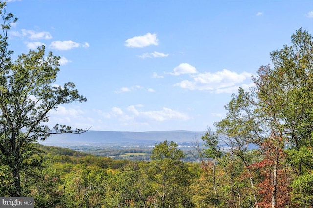 view of mountain feature