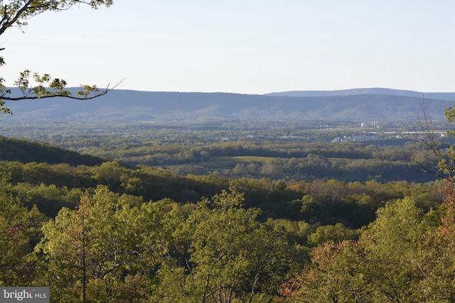 view of mountain feature