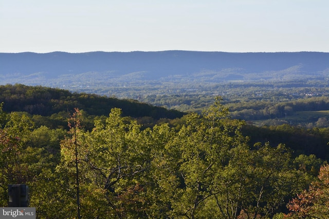 mountain view