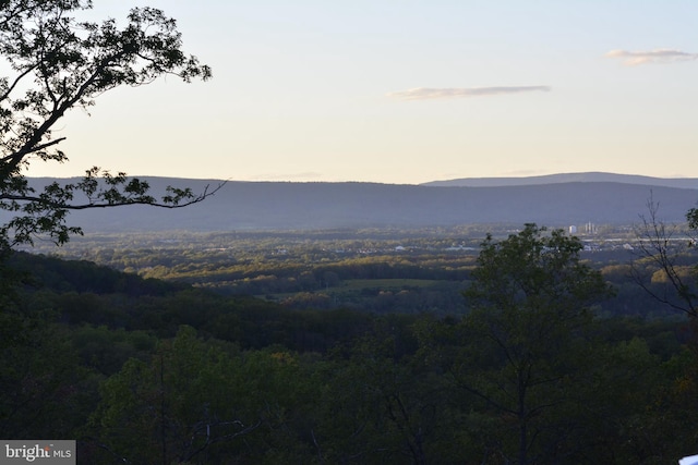 mountain view