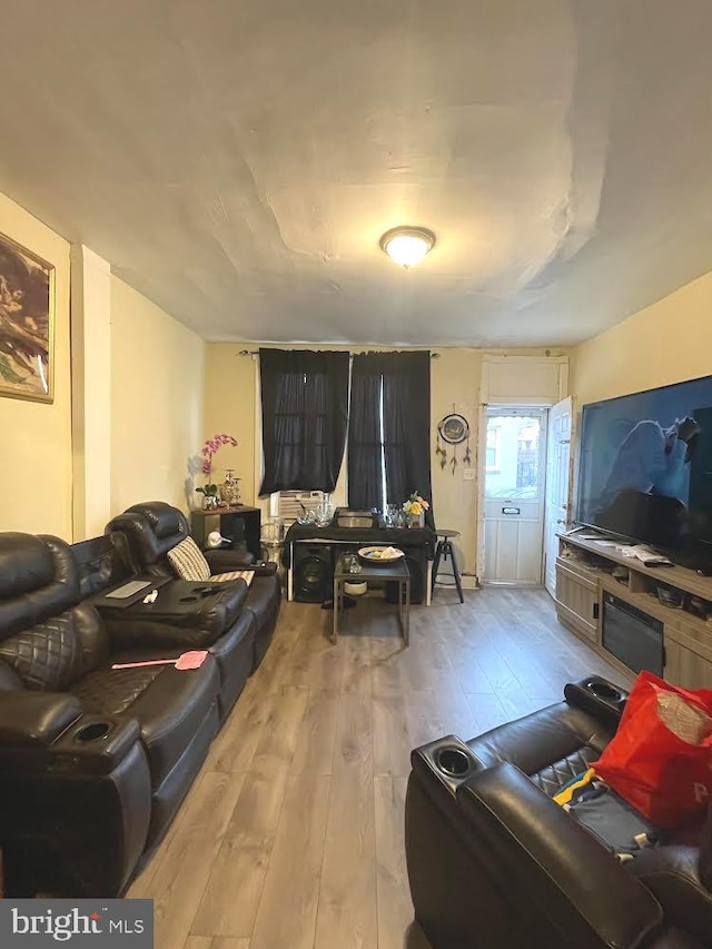 living room featuring light wood-type flooring