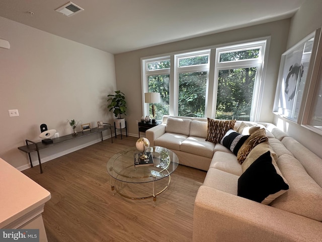 living room featuring hardwood / wood-style flooring