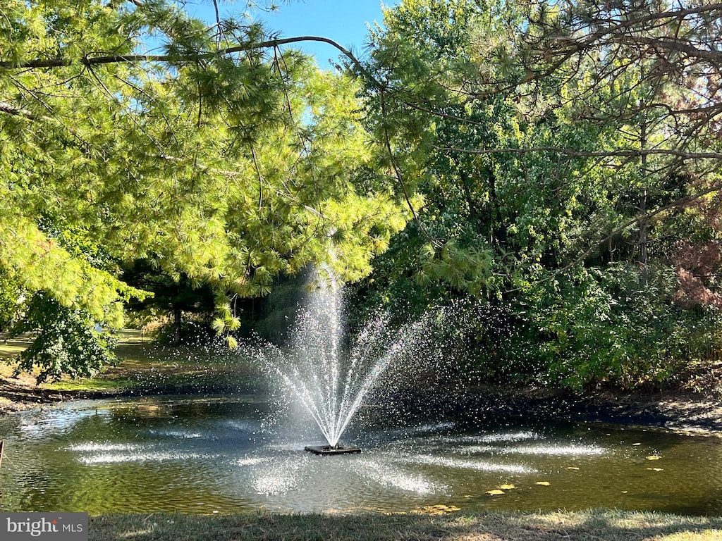 view of property's community featuring a water view