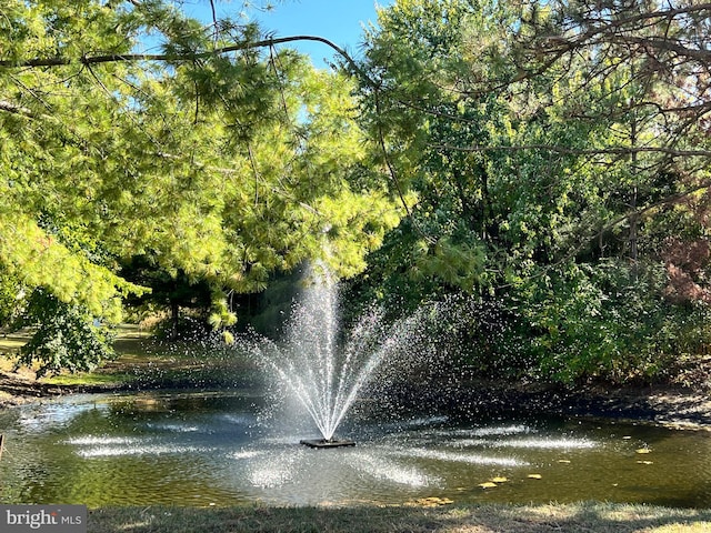 view of property's community featuring a water view