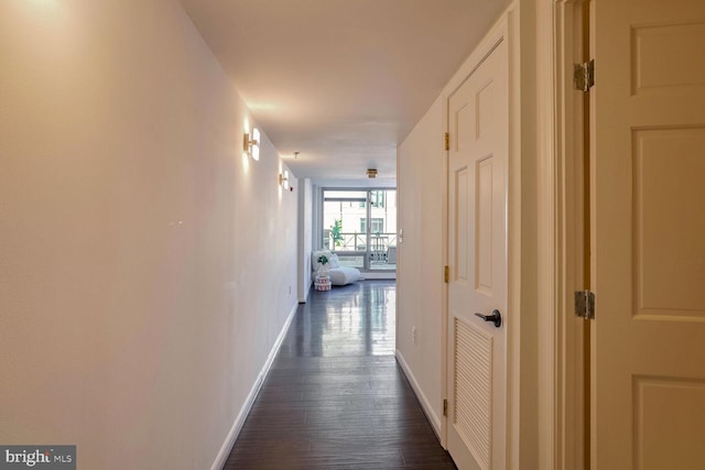 corridor featuring dark hardwood / wood-style flooring