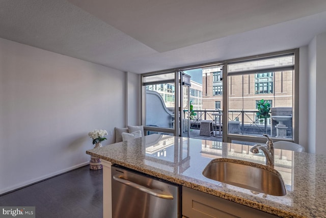 kitchen with light stone countertops, sink, a healthy amount of sunlight, and stainless steel dishwasher