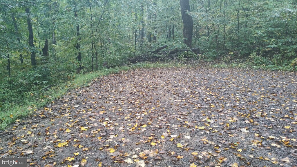 LOT439 Briar Ln, Front Royal, VA 22630