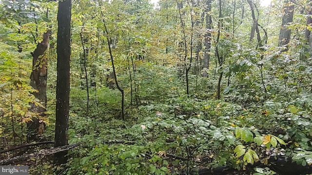 Listing photo 3 for LOT439 Briar Ln, Front Royal VA 22630