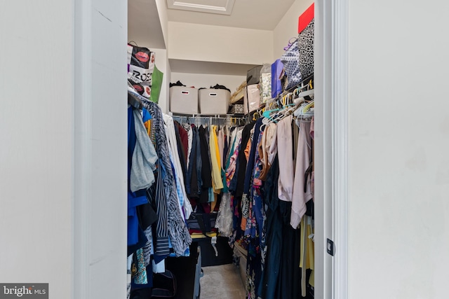 view of spacious closet