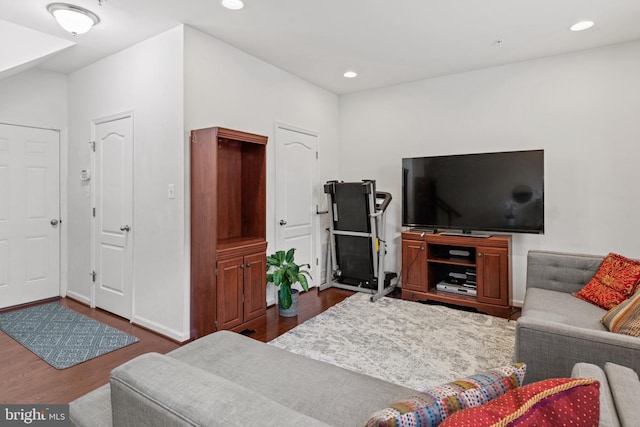 living room featuring dark hardwood / wood-style flooring