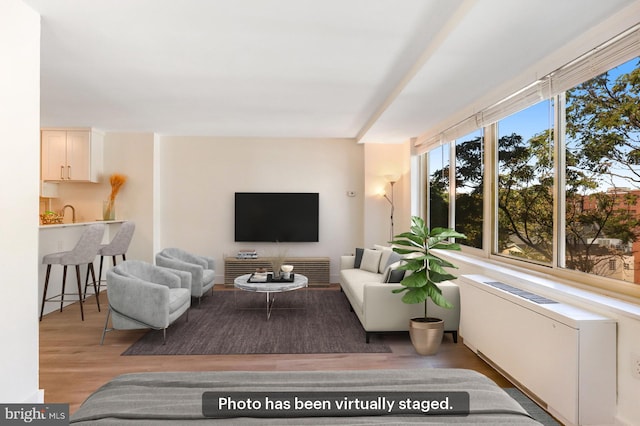 living room featuring light hardwood / wood-style flooring