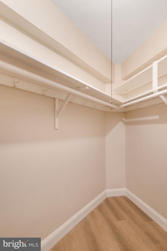 walk in closet featuring hardwood / wood-style flooring