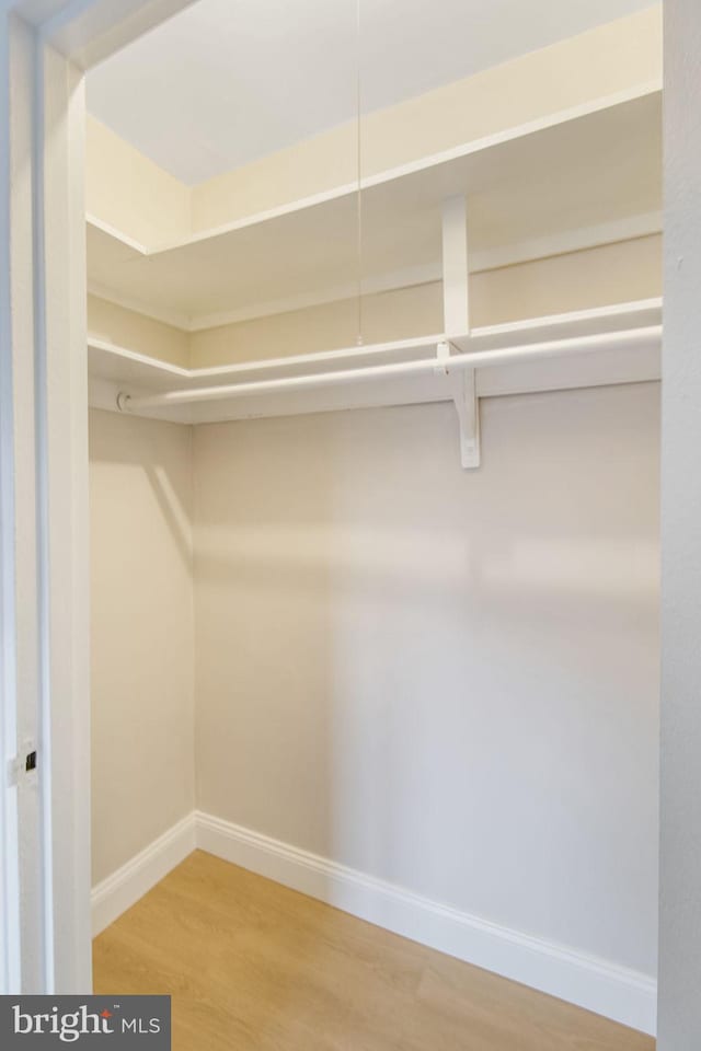 spacious closet featuring hardwood / wood-style flooring