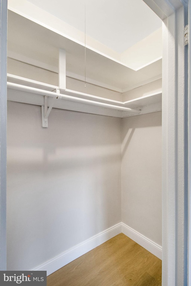 spacious closet featuring wood-type flooring