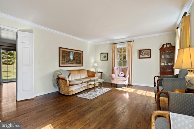 living room with ornamental molding, hardwood / wood-style floors, and a wealth of natural light