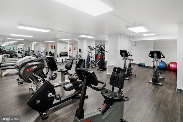 workout area featuring wood-type flooring