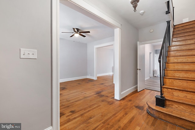 interior space featuring ceiling fan, radiator, and light wood-type flooring